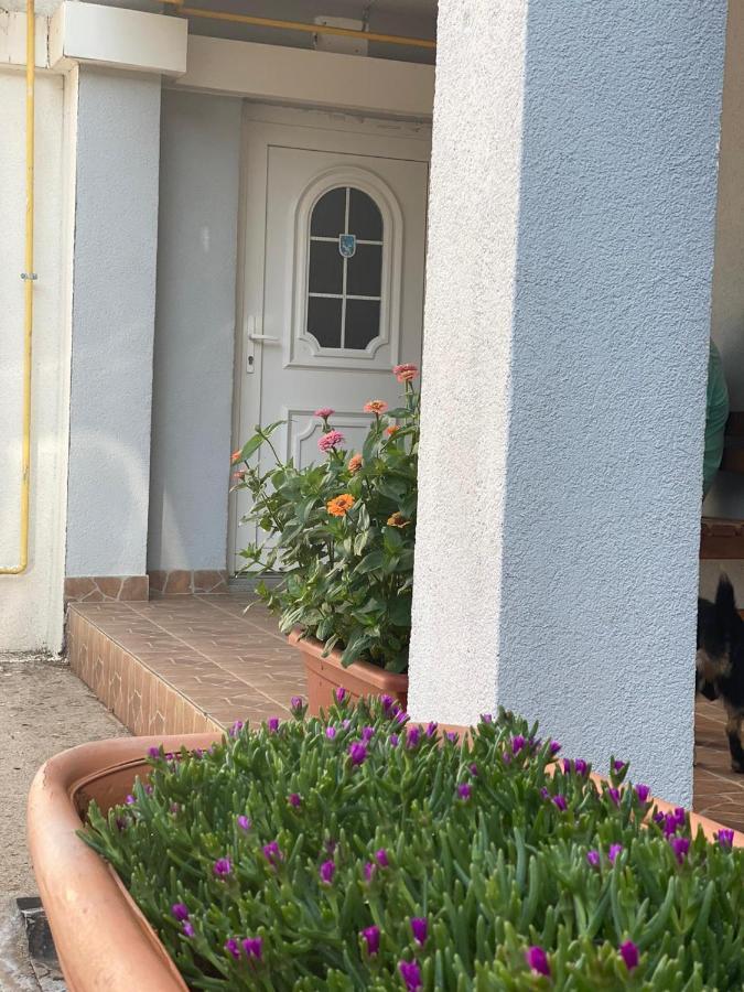 Maca I Ante Pavlovic Bed & Breakfast Međugorje Exterior foto